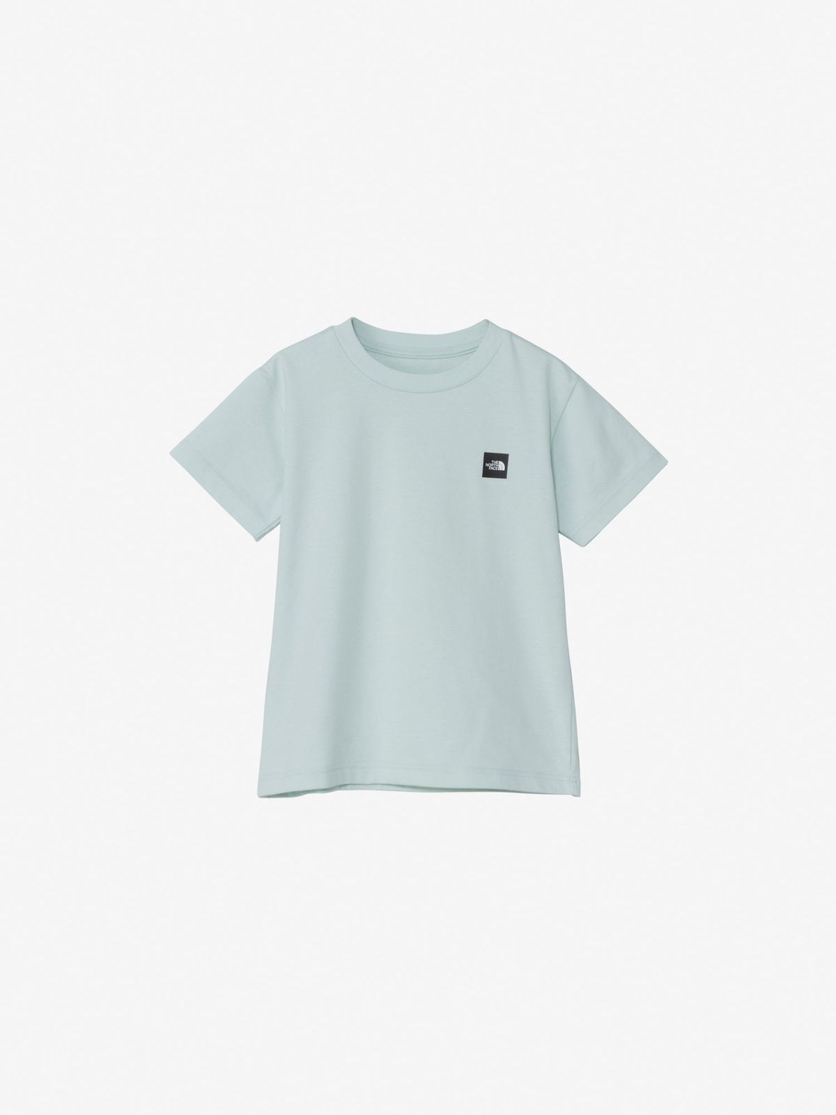 THE NORTH FACE T S/S Small Box Logo Tee NTT32644