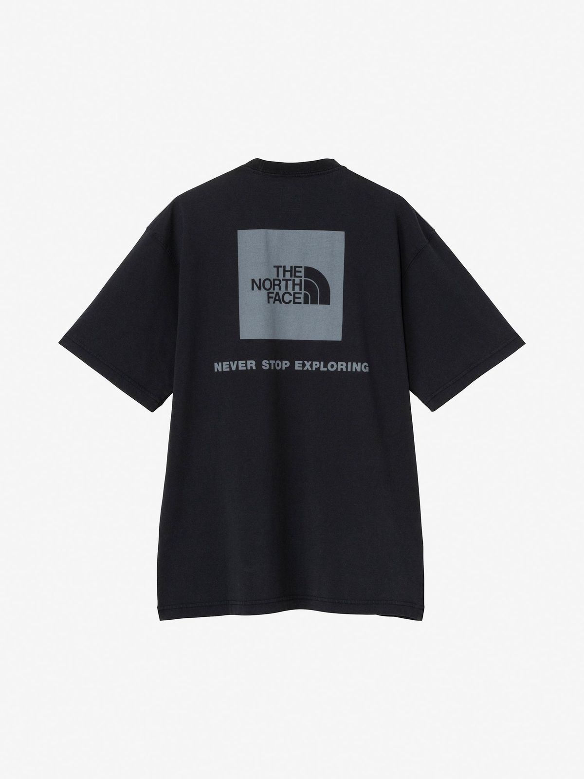 THE NORTH FACE SS WSD BK SQ LG T NT32631R