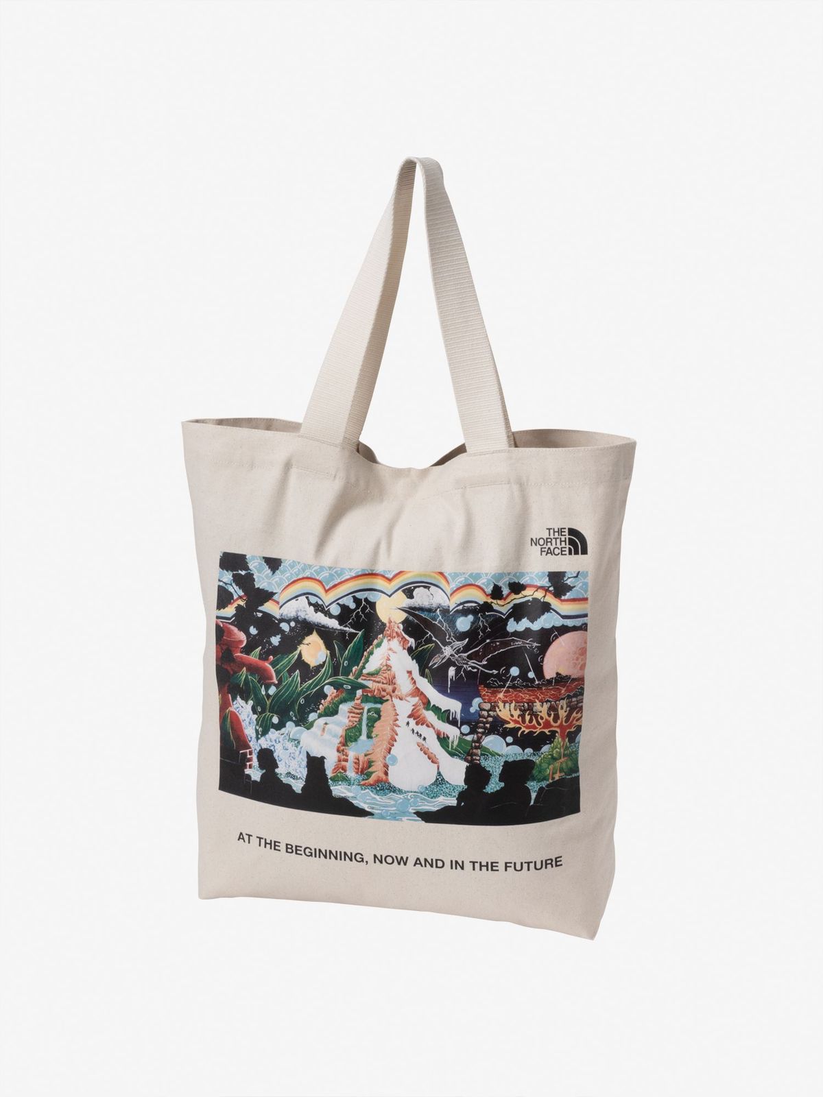 THE NORTH FACE 60TH GRAPHIC COTTON TOTE NM72672