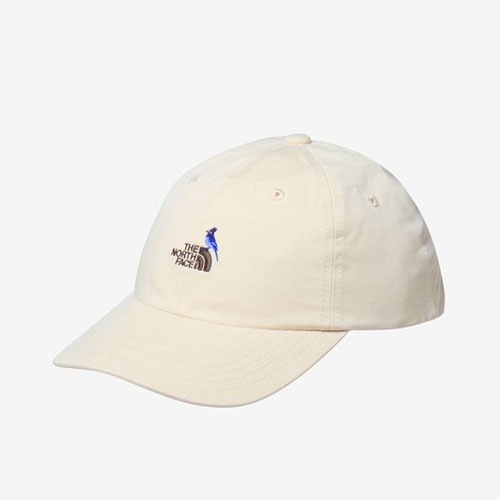 ザ・ノース・フェイス THE NORTH FACE スモールロゴキャップ(キッズ)NNJ02407