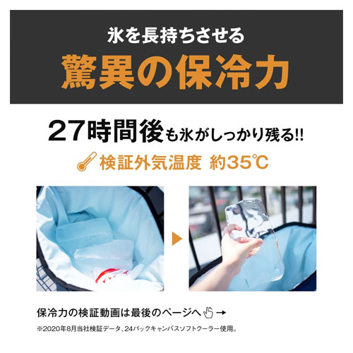 エーオークーラーズ AO Coolers 24パック キャンバス ソフトクーラー　AO24