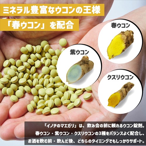 HILLS FIELD ヒルズフィールド 屋久島ウコン配合のウコンサプリ -イノチのマエガリ- 1袋30粒入 x3パック HF-SPL-UCN