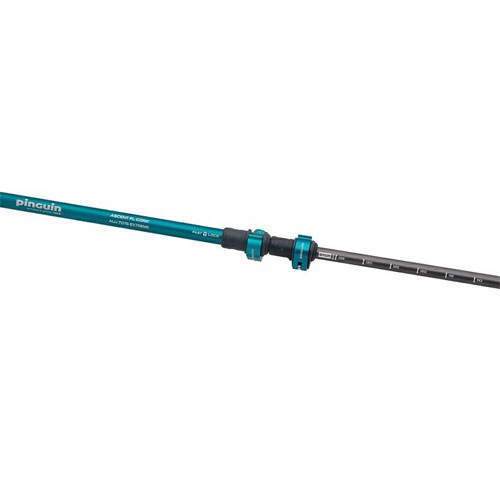 ピングイン pinguin アセント FL コルク 813135 813180