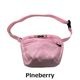 Pineberry(X00000923426)