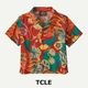 TCLE x 12M