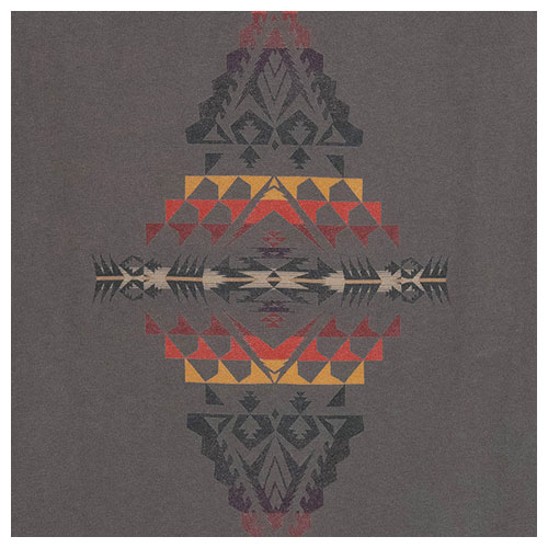 ペンドルトン PENDLETON  メンズ バックプリント ロングスリーブ Tシャツ　19800138