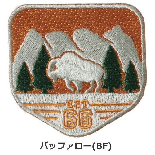 ザ・ノース・フェイス THE NORTH FACE TNFケアワッペン NN32231