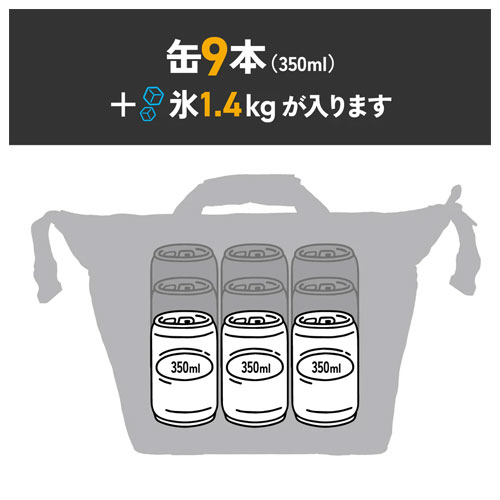 エーオークーラーズ AO Coolers 9パック キャンバス ソフトクーラー　AO9