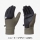 NT x S