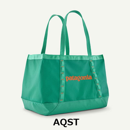 パタゴニア Patagonia　ブラックホール・トート 25L　49032