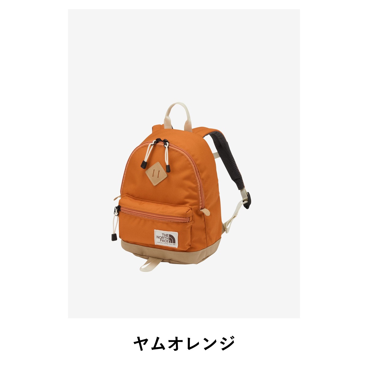 THE NORTH FACE K BERKELEY MINI NMJ72364