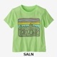 SALN x 6M