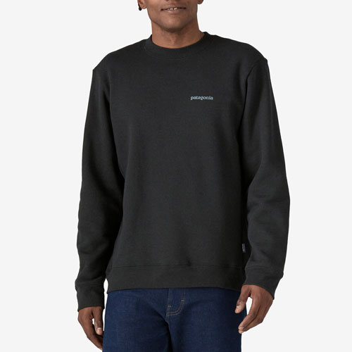 パタゴニア Patagonia フィッツロイ・アイコン・アップライザル