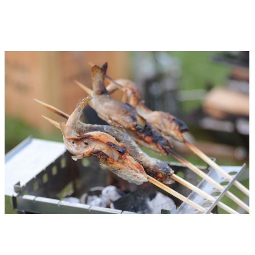 フェニックスライズ Phoenixrize ジビエグリル　スタンダード GGST02