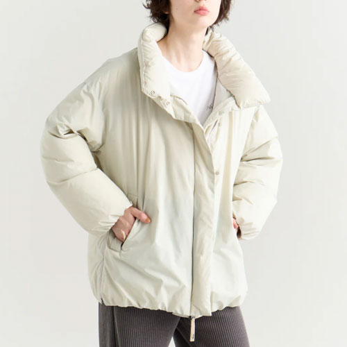 ナンガ NANGA スタンドカラー ダウンジャケット (ウィメンズ) ND2442-1A602