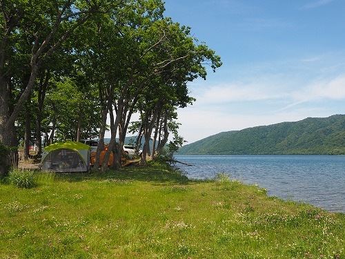 Utarubeシェラカップ300