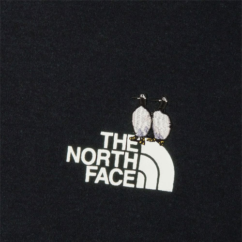 ザ・ノース・フェイス THE NORTH FACE ロングスリーブズーピッカー