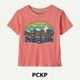 PCKP x 12M