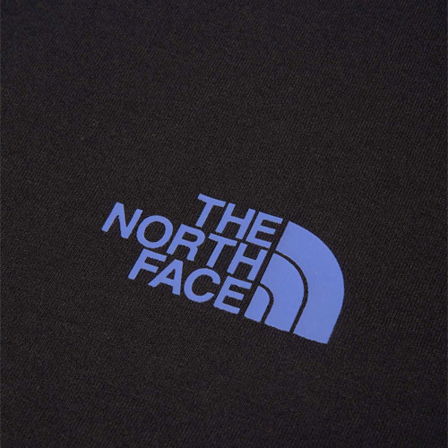 ショートスリーブ ES フラワーボックスロゴティー（メンズ）　ザ・ノース・フェイス THE NORTH FACE　