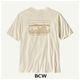BCW x S