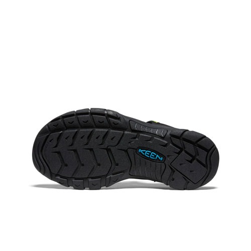 ニューポート レトロ(メンズ) キーン KEEN 1018804