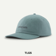 TLGS
