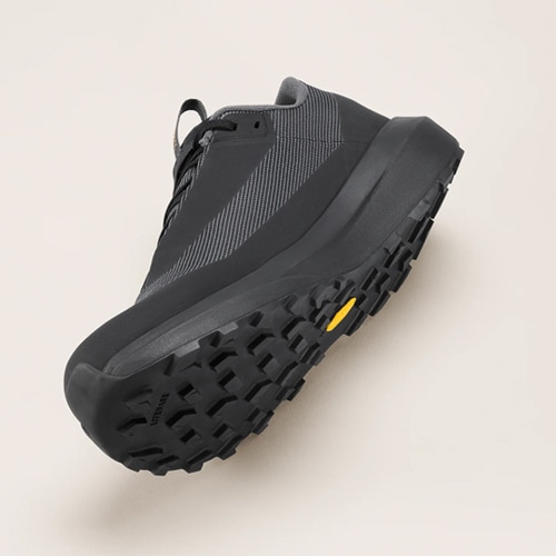 ノーバン LD 4 ゴアテックス メンズ アークテリクス ARC’TERYX ノーバン LD 4 ゴアテックス メンズ