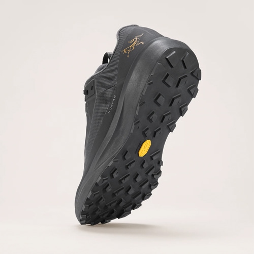 アークテリクス ARC'TERYX ノーバン LD 4 ゴアテックス メンズ