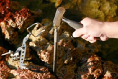 ベルモント belmont ピトンヒッター(ペグハンマー) MS-054