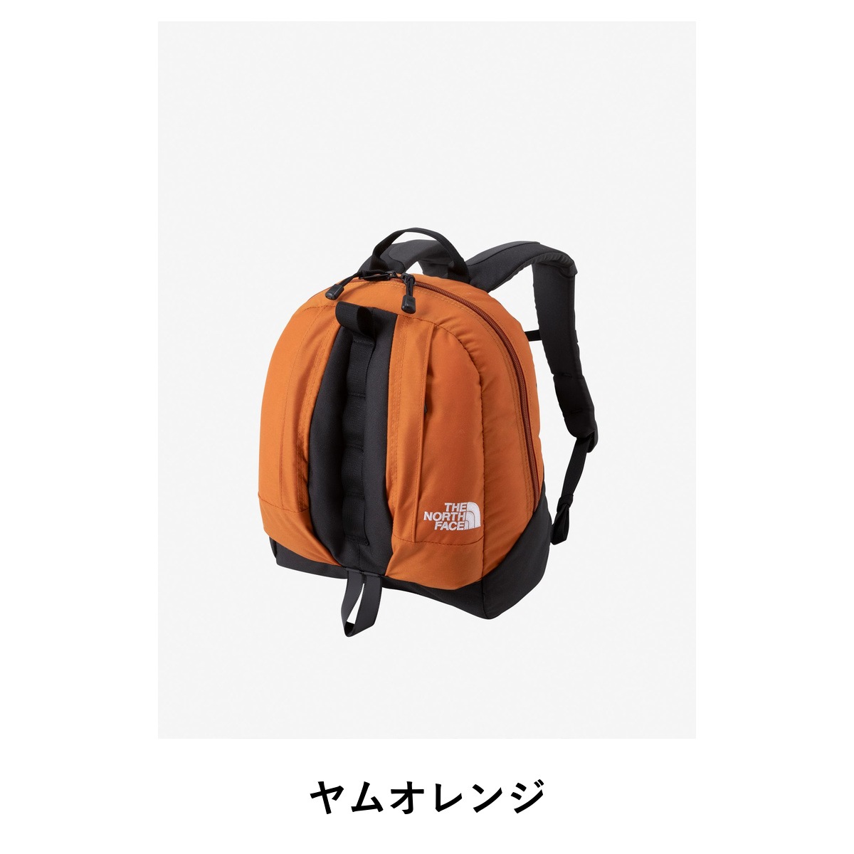 THE NORTH FACE K KINKAJOU NMJ62651 | 新規登録 | アウトドアライフ