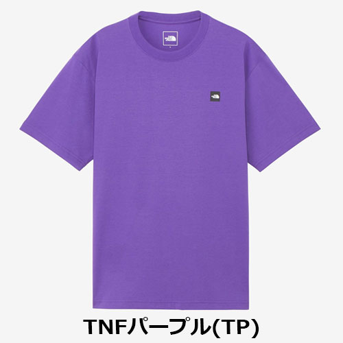 ザ・ノース・フェイス THE NORTH FACE ショートスリーブスモールボックスロゴティー（メンズ）　NT32445