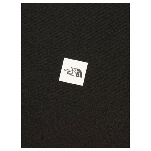 ザ・ノース・フェイス THE NORTH FACE ショートスリーブスモールボックスロゴティー（メンズ）　NT32445