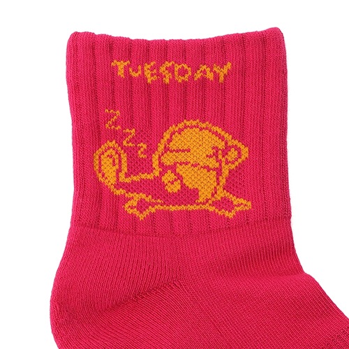 チャムス CHUMS　チャムスデイソックス　CH06-1146