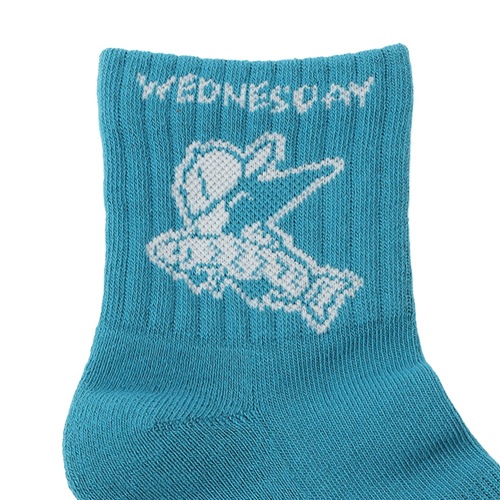 チャムス CHUMS　チャムスデイソックス　CH06-1146