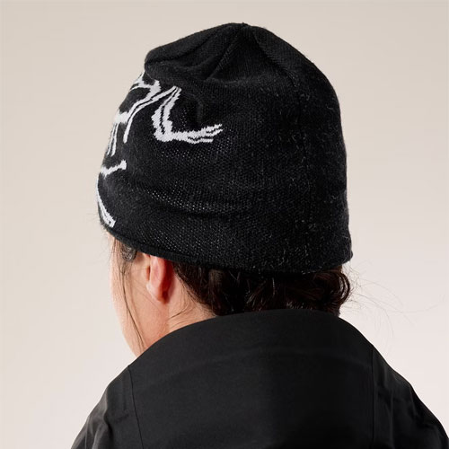 希少 ARC'TERYX バードヘッドトーク ビーニー ニット帽 アークテリクス ARC'TERYX バード ヘッド トーク L08023800