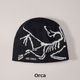 Orca