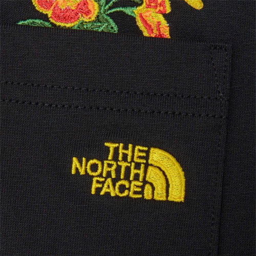 ザ・ノース・フェイス THE NORTH FACE ショートスリーブフラッシュ