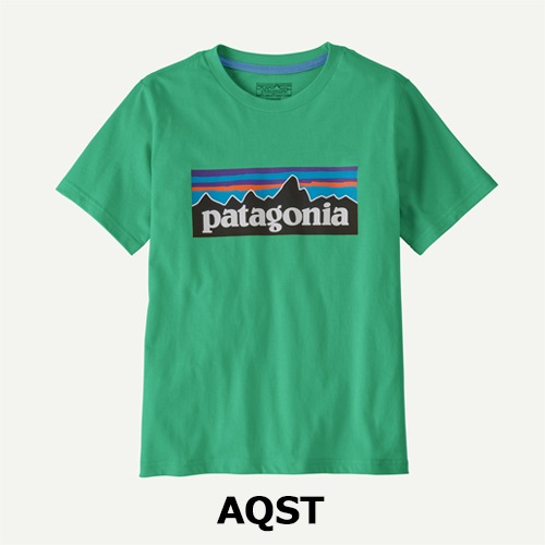 パタゴニア Patagonia キッズ・P-6 ロゴ・Tシャツ 62148 | ウェア