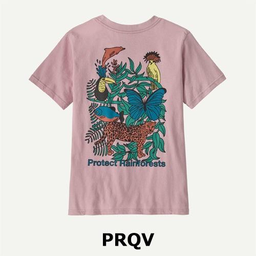 パタゴニア Patagonia キッズ・グラフィック・Tシャツ 62146 | ウェア
