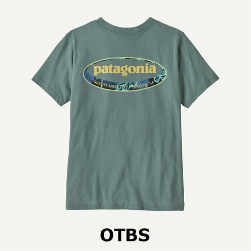 パタゴニア Patagonia キッズ・グラフィック・Tシャツ 62146 | ウェア