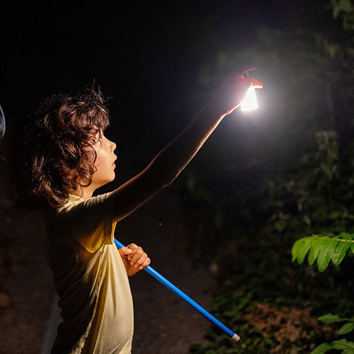 レッドレンザー LEDLENSER　LL ML4 Warm　43130