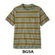 BGSA x S