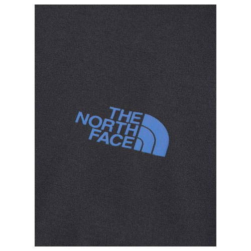 ザ・ノース・フェイス THE NORTH FACE　ショートスリーブ ES 66ロゴワイドティー（メンズ）NT32597