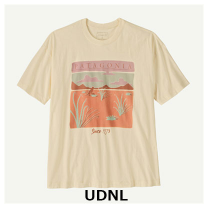 ウィメンズ・デザート・グロー・オーバーサイズ・Tシャツ　パタゴニア Patagonia