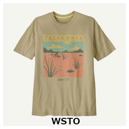ウィメンズ・デザート・グロー・オーバーサイズ・Tシャツ　パタゴニア Patagonia
