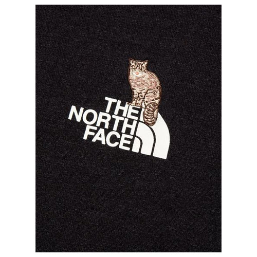 ザ・ノース・フェイス THE NORTH FACE ショートスリーブズーピッカーティー（ユニセックス）NT32534