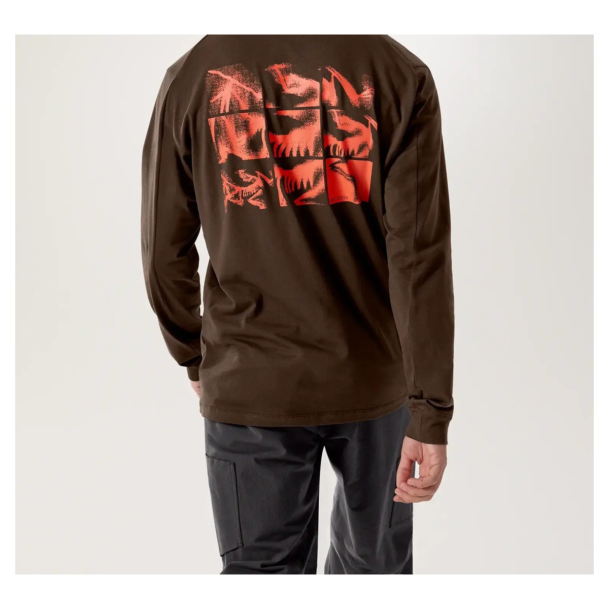 ARC’TERYX Kragg SL Cotton Bird Tile LS M X00000953705