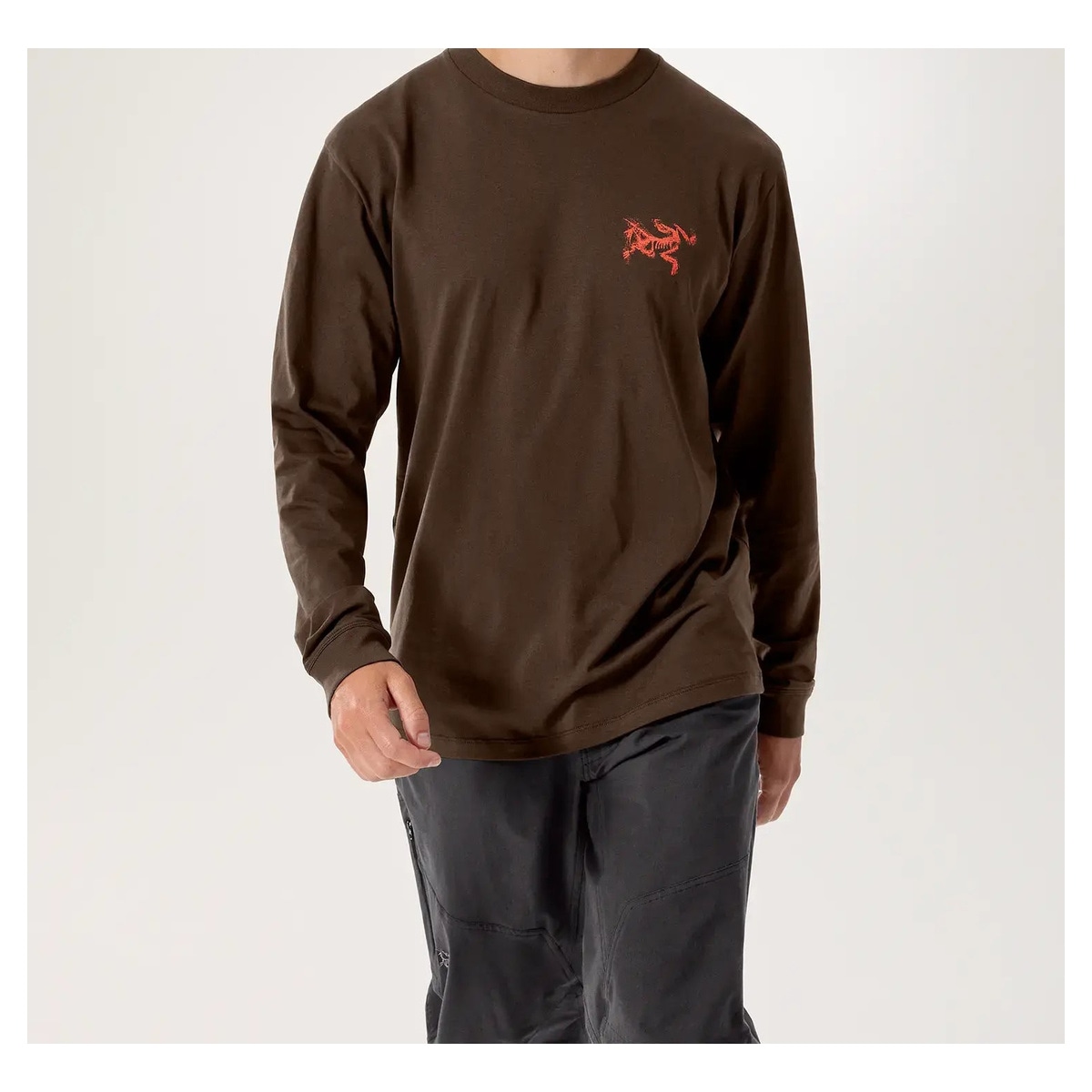 ARC’TERYX Kragg SL Cotton Bird Tile LS M X00000953705