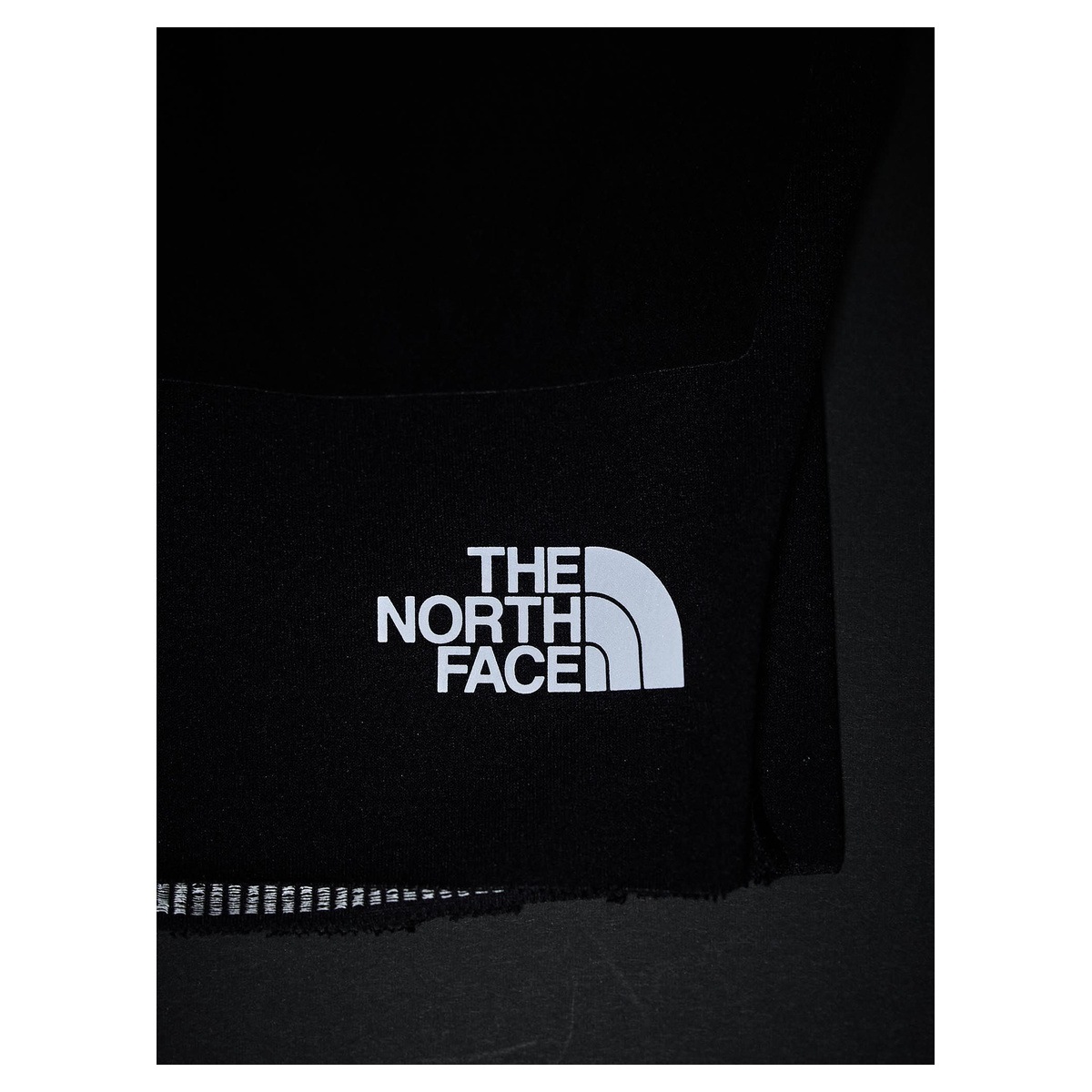THE NORTH FACE HST Aviator Tight NB42571
