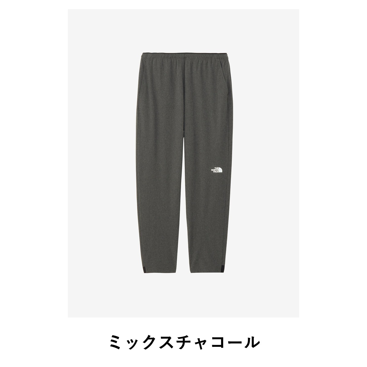 THE NORTH FACE Flexible Long Pant NBW12582